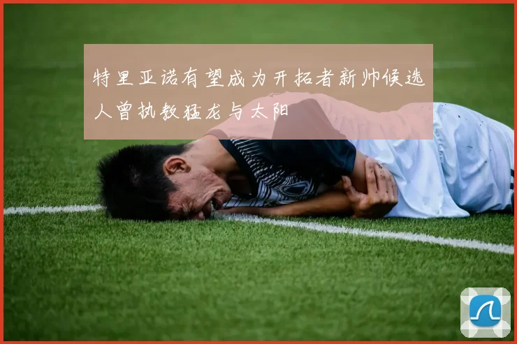 特里亚诺有望成为开拓者新帅候选人曾执教猛龙与太阳